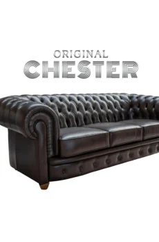 բազմոց չեսթեր